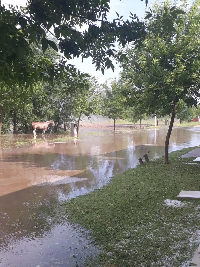 WhatsApp Image 2022-06-21 at 11.41.48 PM