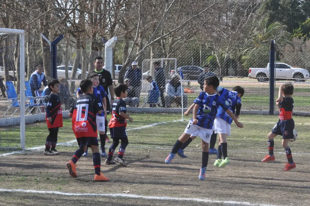 Centro Social Infanto Juvenil Renato Cesarini Olaeta Socialeritas (262)