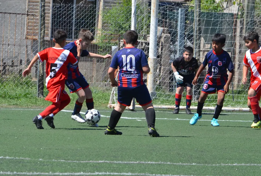 WhatsApp Image 2024-10-28 at 18.43.33 (1)