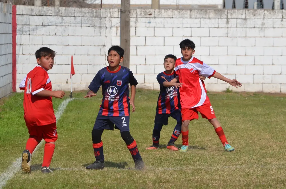 WhatsApp Image 2024-08-18 at 19.33.57 (4)