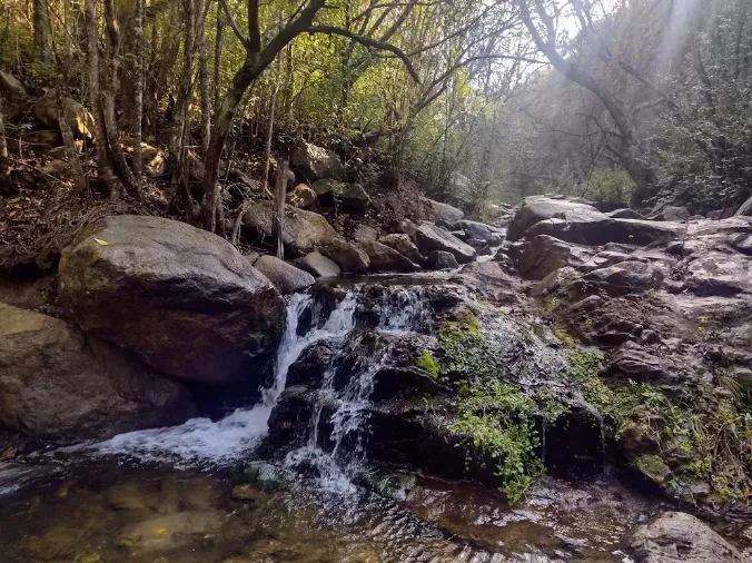 Captura de pantalla 2024-08-04 112008