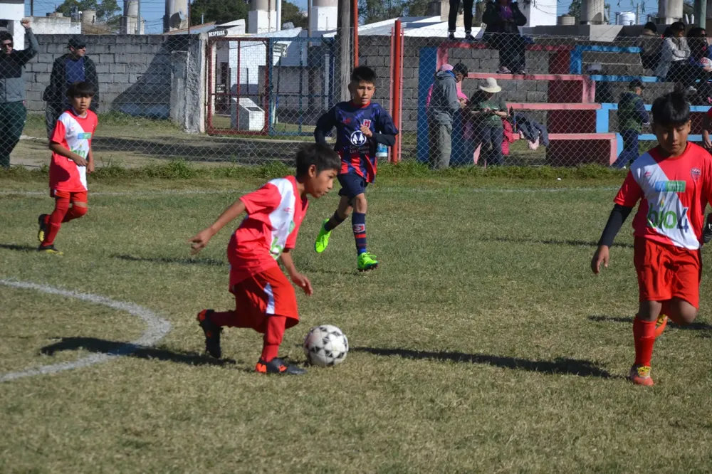 WhatsApp Image 2024-05-12 at 16.46.44