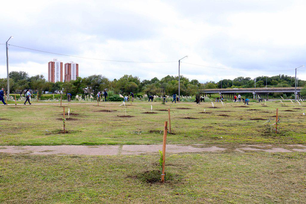 1000 nuevos arboles (4)