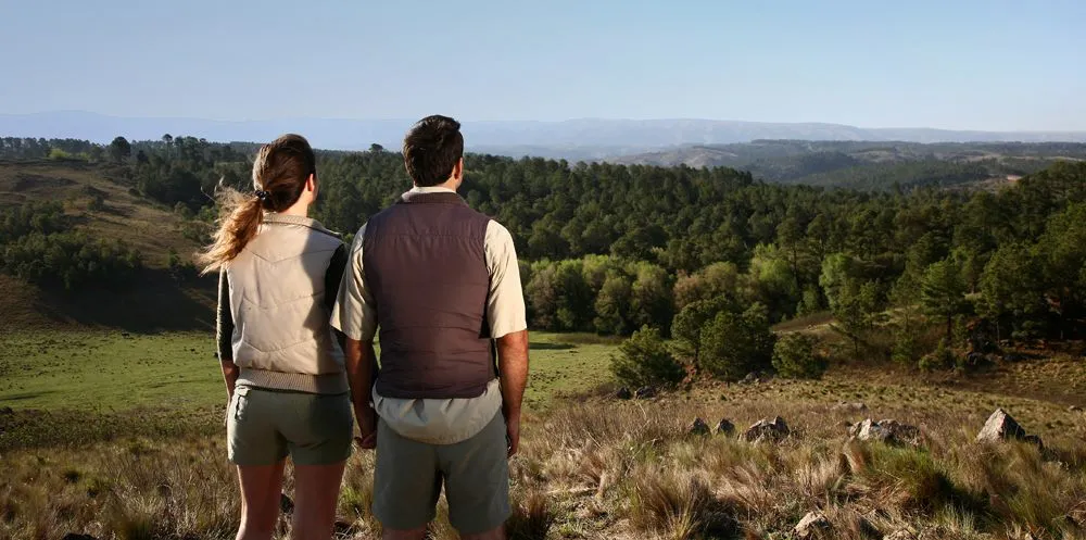 33174613_10155726039897869_292287088726900736_o