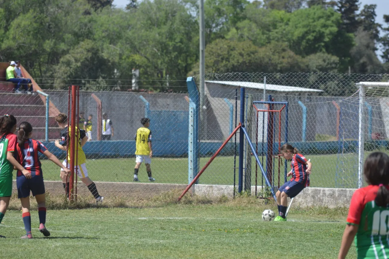 WhatsApp Image 2024-09-28 at 14.26.45 (1)