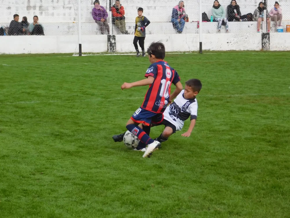 Centro Social Infanto Everton Banda Norte Socialeritas (138)