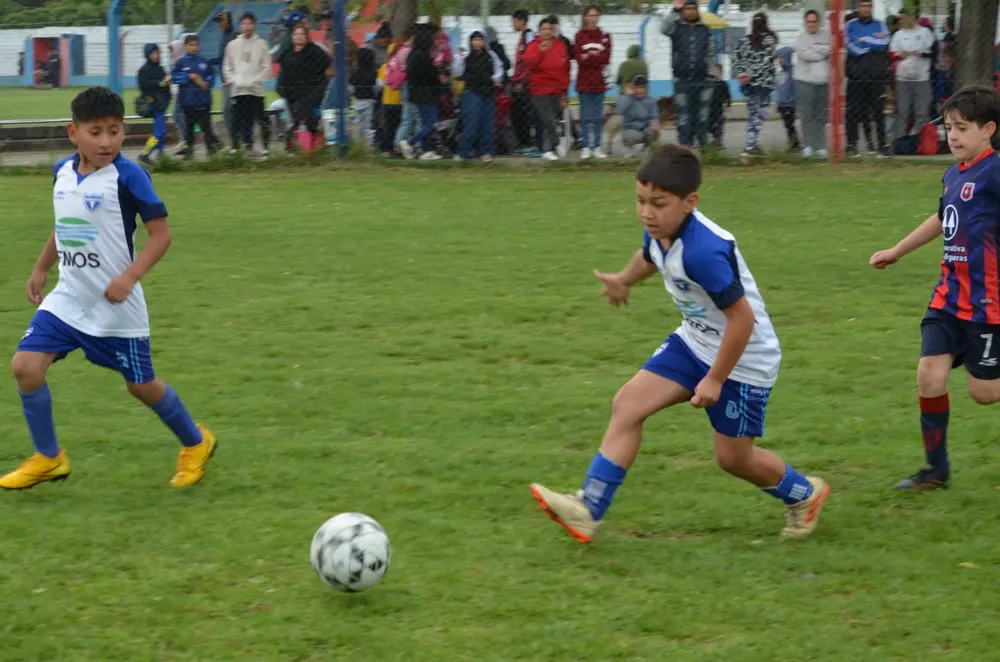 WhatsApp Image 2024-11-04 at 19.36.31 (3)