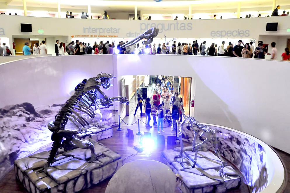 MUSEO