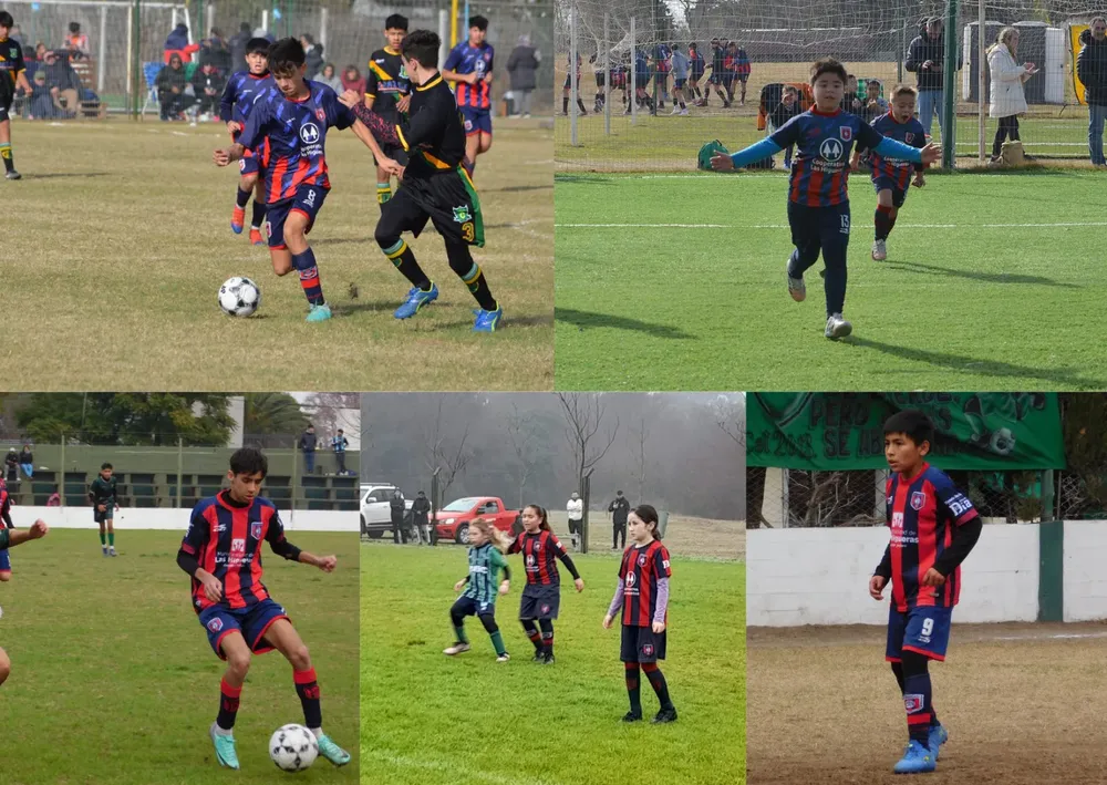 WhatsApp Image 2024-06-24 at 22.05.18