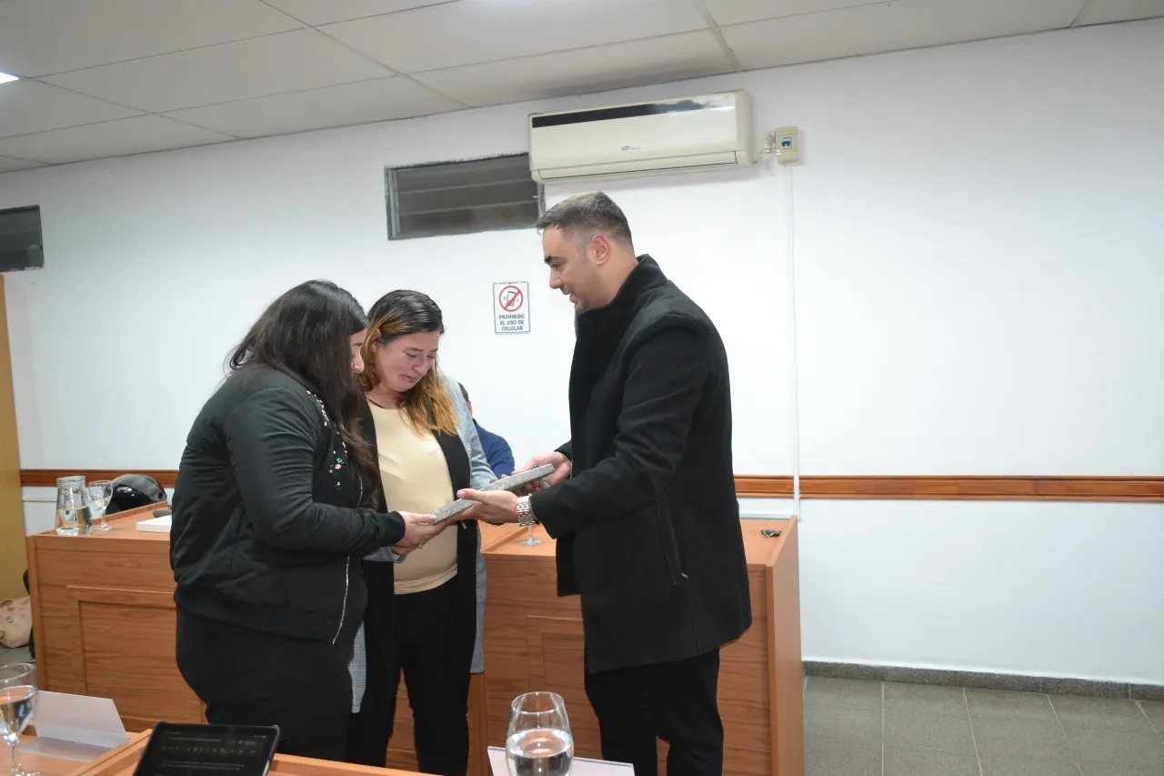 PLACA BRISA CORTES