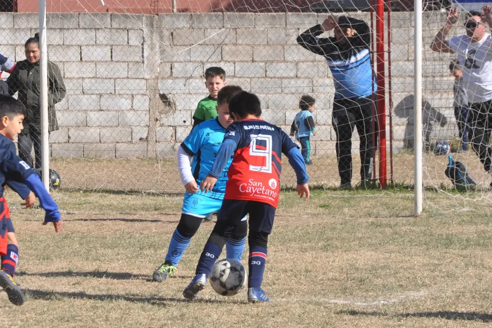 WhatsApp Image 2023-07-02 at 13.33.11 (3)