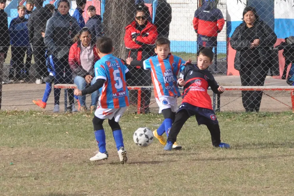 Centro Social Las Higueras Infanto Juvenil Ateneo Vecinos (100)