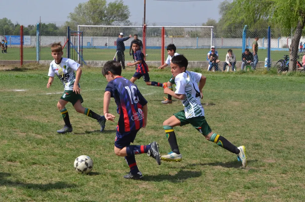 WhatsApp Image 2024-09-23 at 16.31.14 (7)