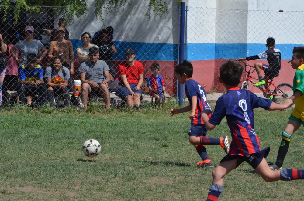 WhatsApp Image 2024-09-23 at 16.32.31 (3)