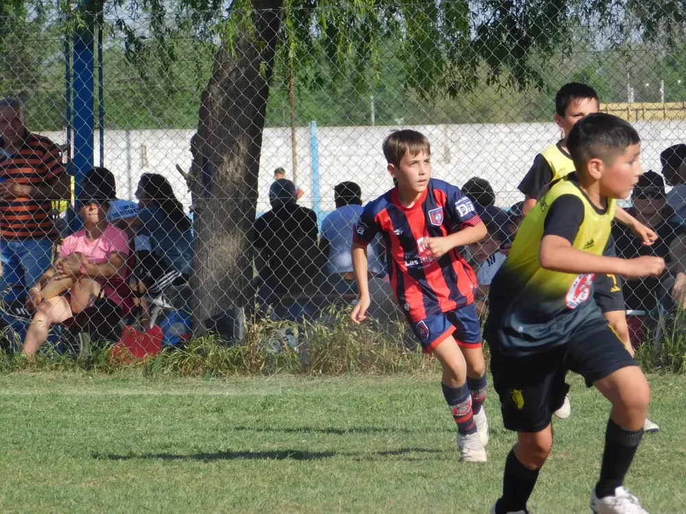 WhatsApp Image 2024-09-29 at 20.29.29 (5)