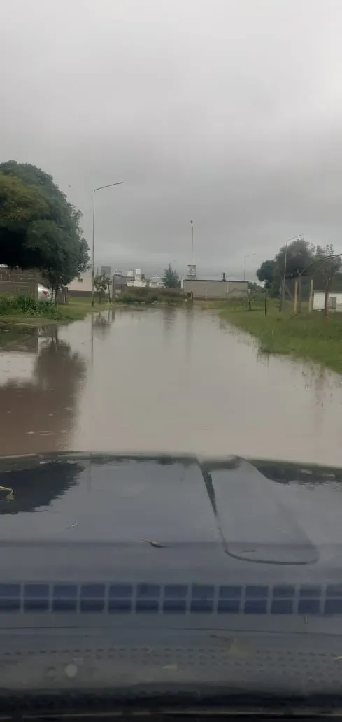 WhatsApp Image 2025-03-24 at 15.45.24