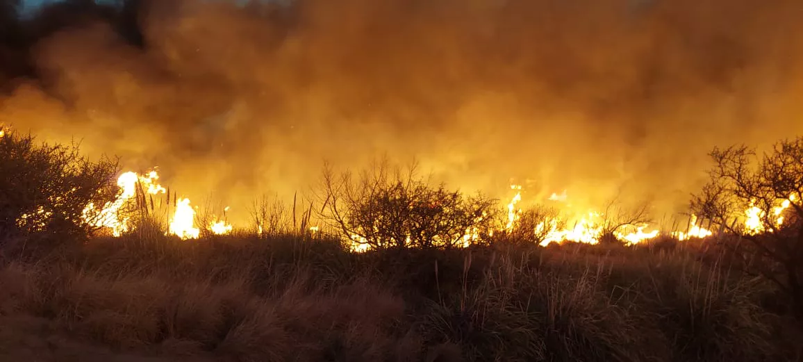 WhatsApp Image 2022-08-22 at 7.47.29 PM (1)