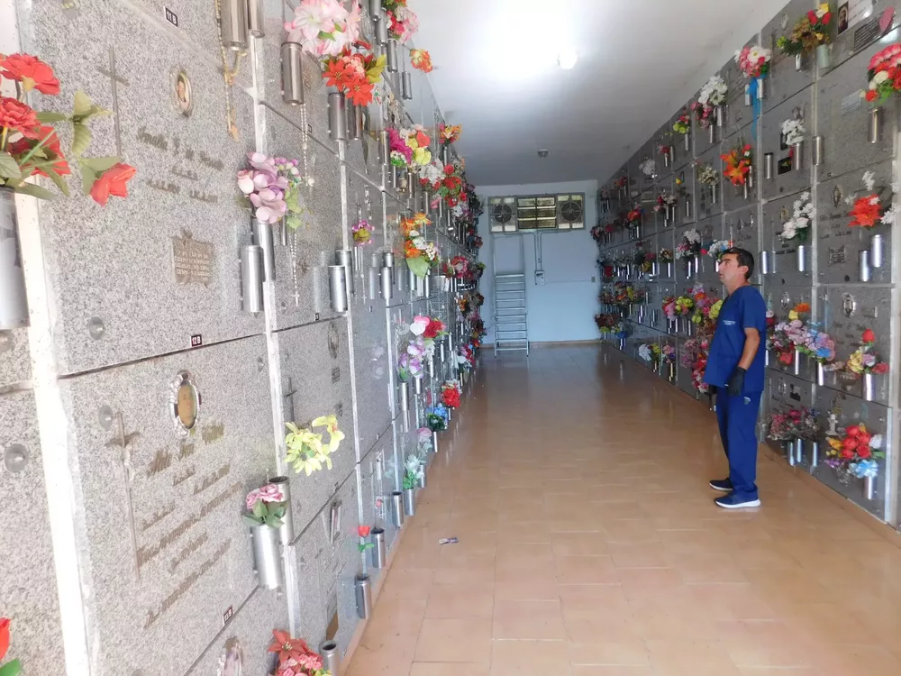 Cementerio Las Higueras (8)