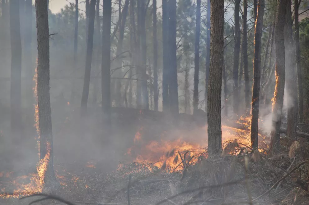 Incendios_3699