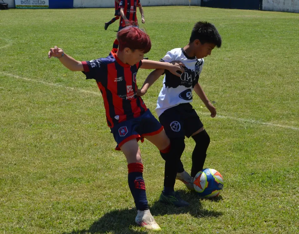 WhatsApp Image 2025-11-08 at 20.54.08 (1)