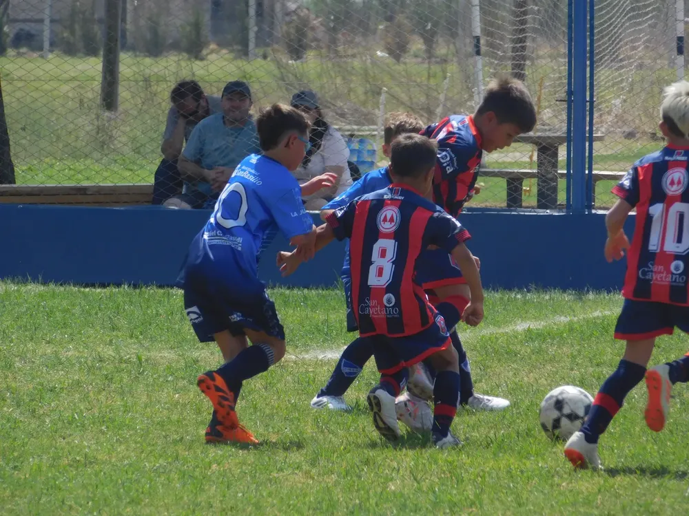 WhatsApp Image 2024-09-23 at 16.49.21 (6)