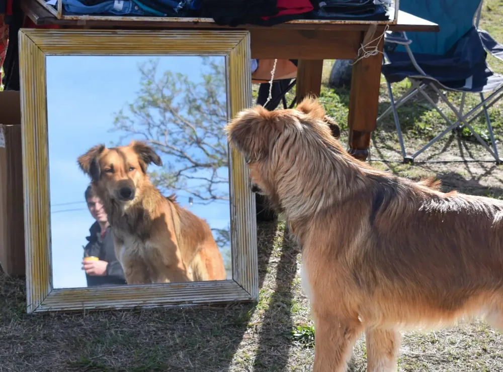 BO UNIV DIA DEL NIÑO (15)