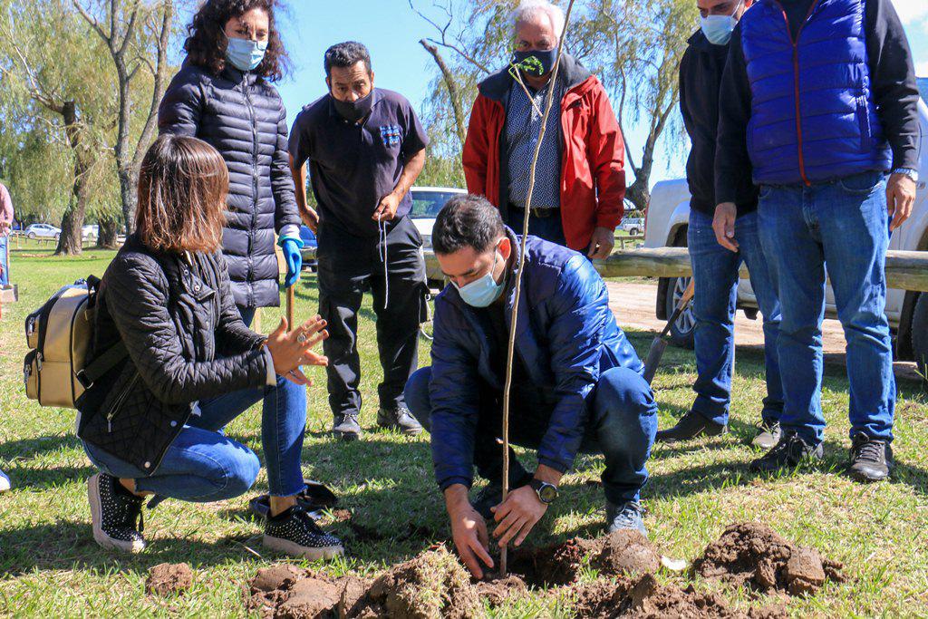 1000 nuevos arboles (3)