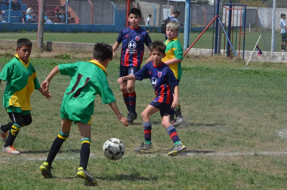 WhatsApp Image 2024-09-23 at 16.32.13