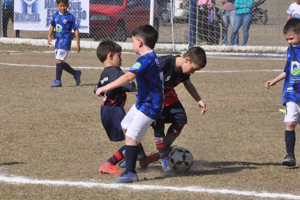 Centro Social Infanto Juvenil Renato Cesarini Olaeta Socialeritas (227)
