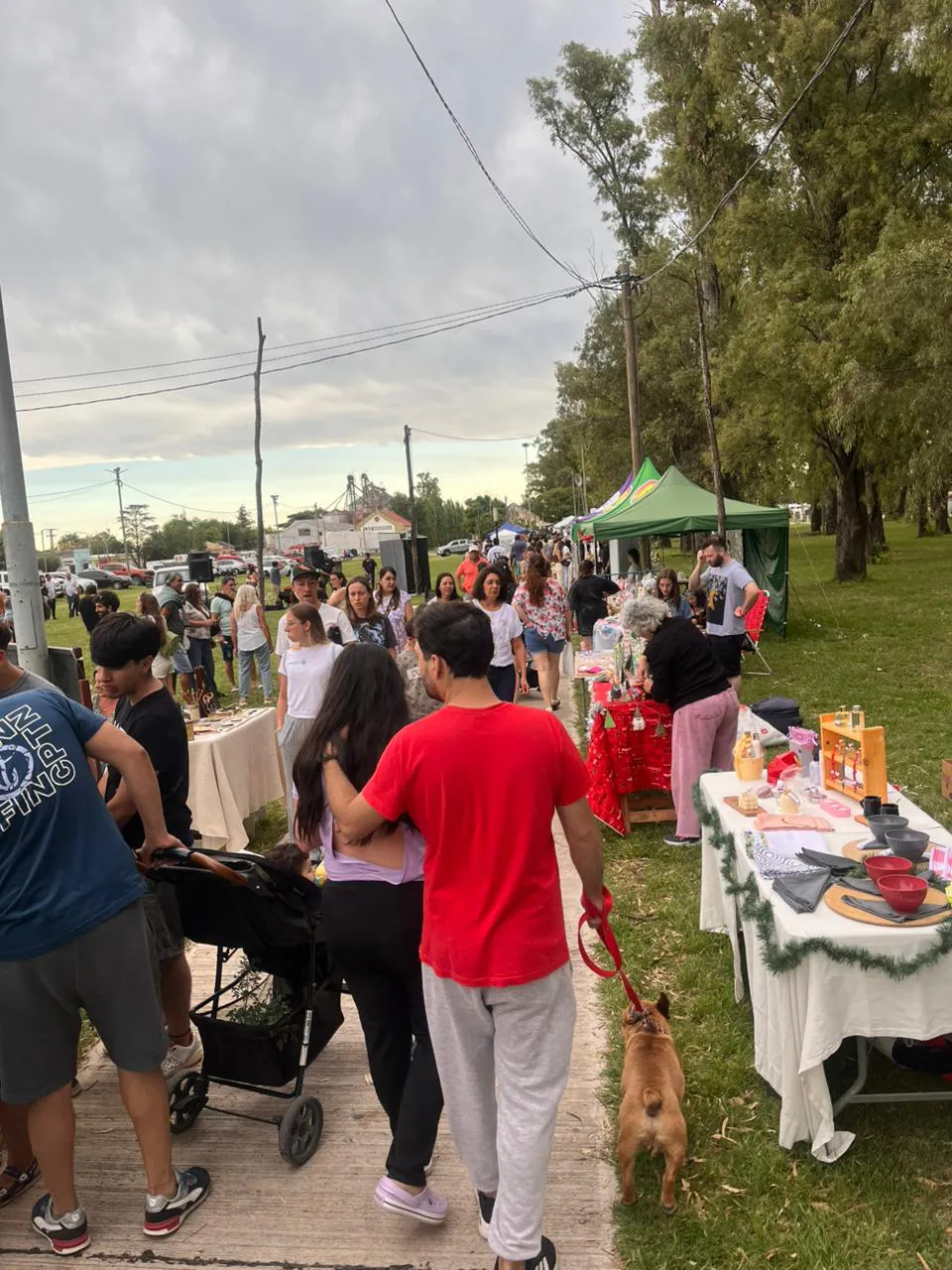 FERIA NAVIDEÑA (27)