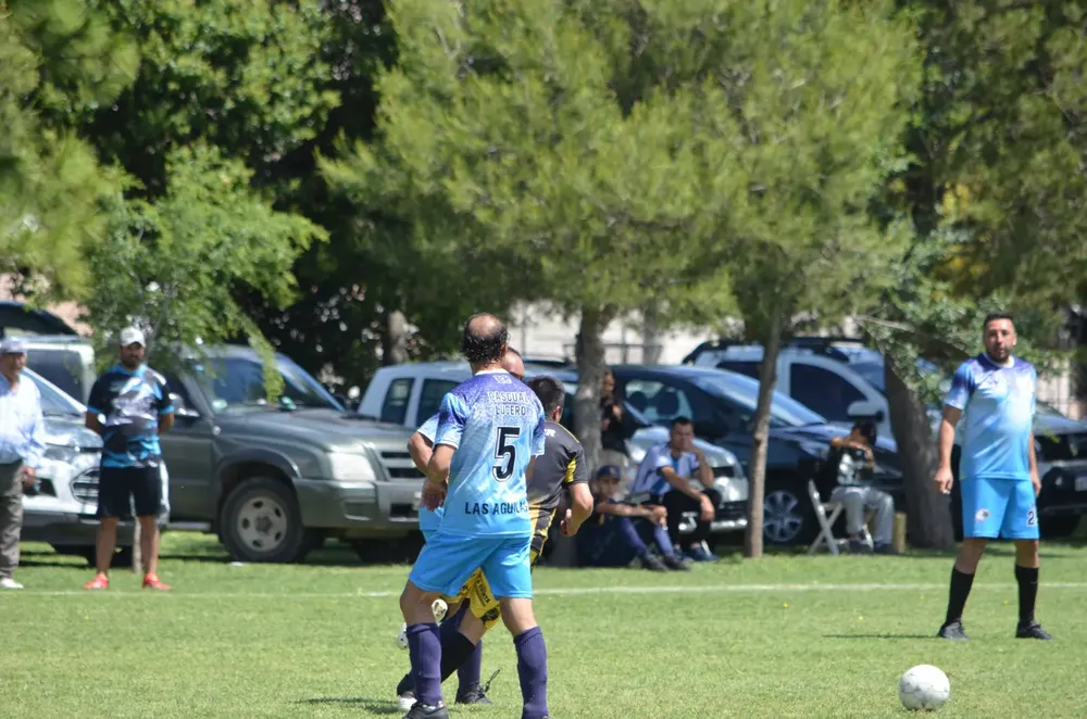 WhatsApp Image 2024-11-07 at 19.35.45