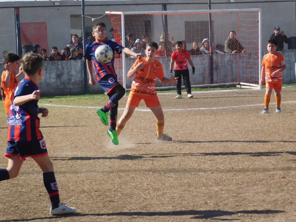 Centro Social Infanto Juvenil Renato Cesarini Olaeta Socialeritas (208)