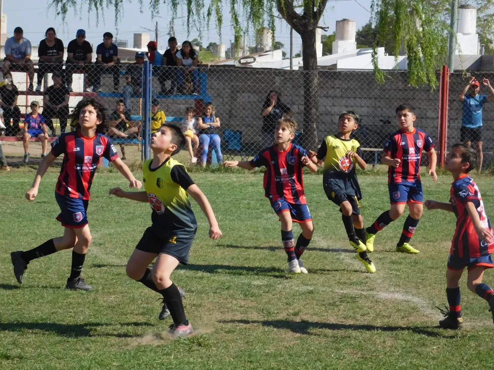 WhatsApp Image 2024-09-29 at 20.26.31 (19)