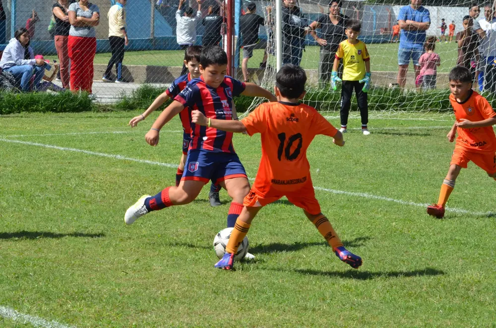 WhatsApp Image 2025-03-31 at 16.38.32 (8)