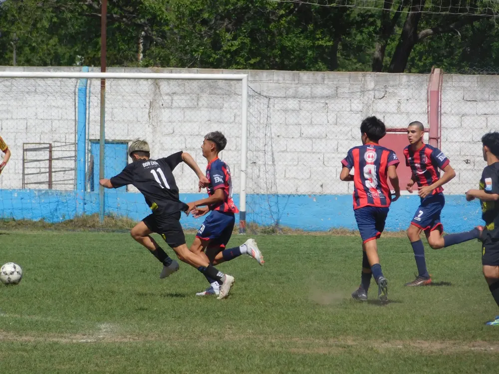 WhatsApp Image 2024-09-29 at 20.23.56 (3)