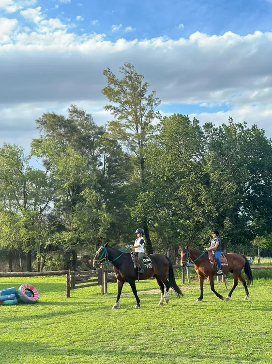 EQUINOTERAPIA Y MONTA (12)