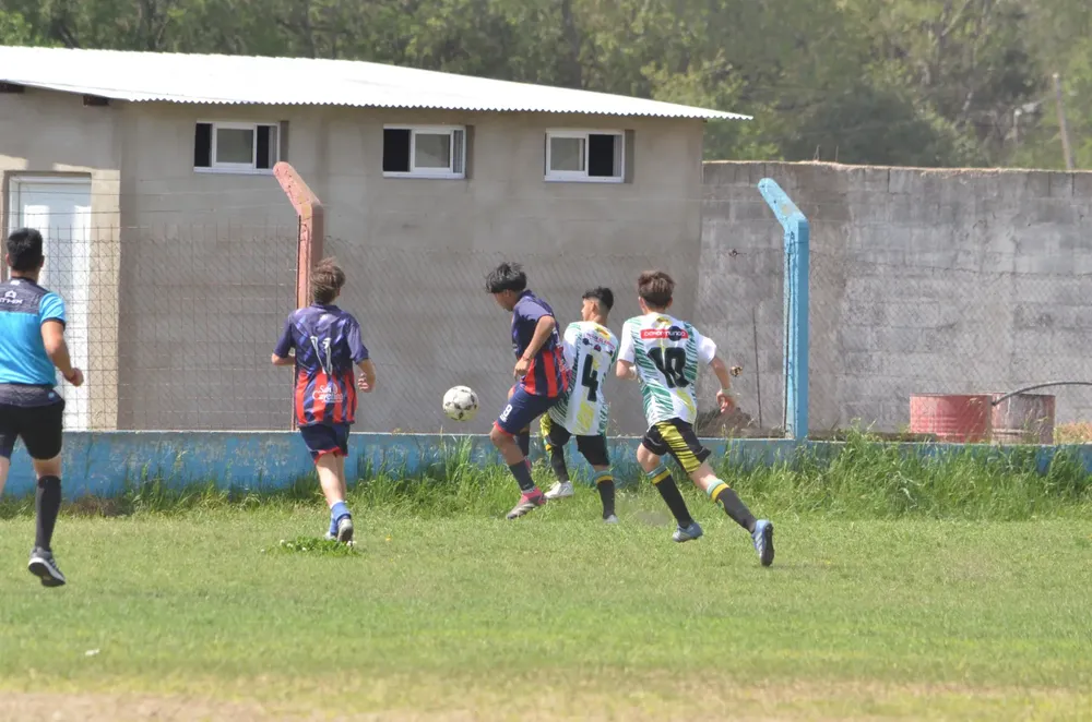 WhatsApp Image 2024-09-23 at 16.31.15 (5)