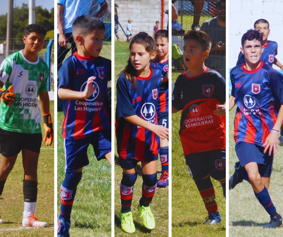 Copia de Copia de Diseño sin título (1)