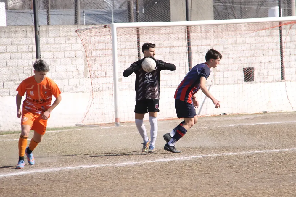 Centro Social Infanto Juvenil Renato Cesarini Olaeta Socialeritas (91)
