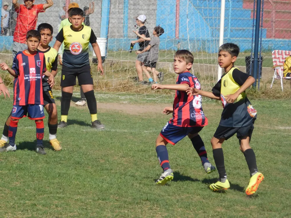 WhatsApp Image 2024-09-29 at 20.26.31 (21)