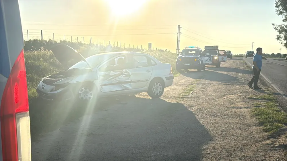 WhatsApp Image 2026-03-01 at 19.40.05