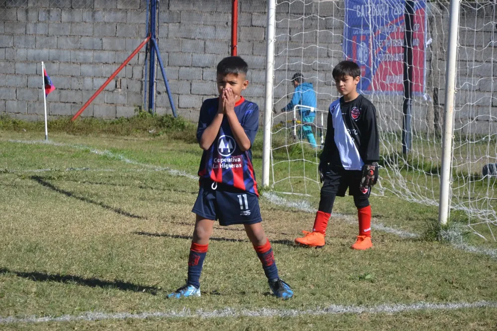 WhatsApp Image 2024-05-12 at 16.46.34