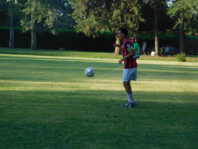 Profesionales vs fusión profesionales 08122020_3