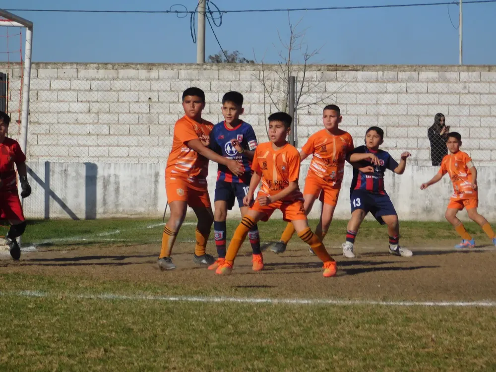 Centro Social Infanto Juvenil Renato Cesarini Olaeta Socialeritas (196)