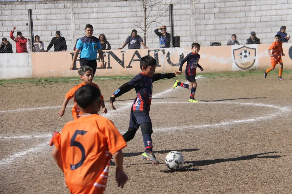 Centro Social Infanto Juvenil Renato Cesarini Olaeta Socialeritas (65)