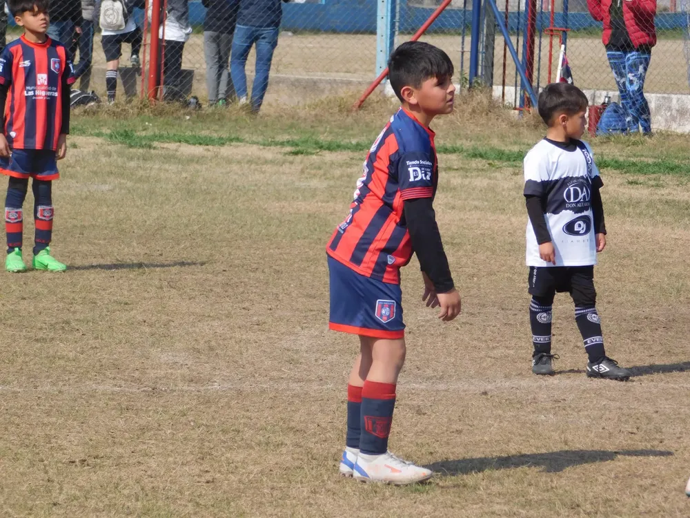 WhatsApp Image 2024-08-19 at 15.04.47 (26)