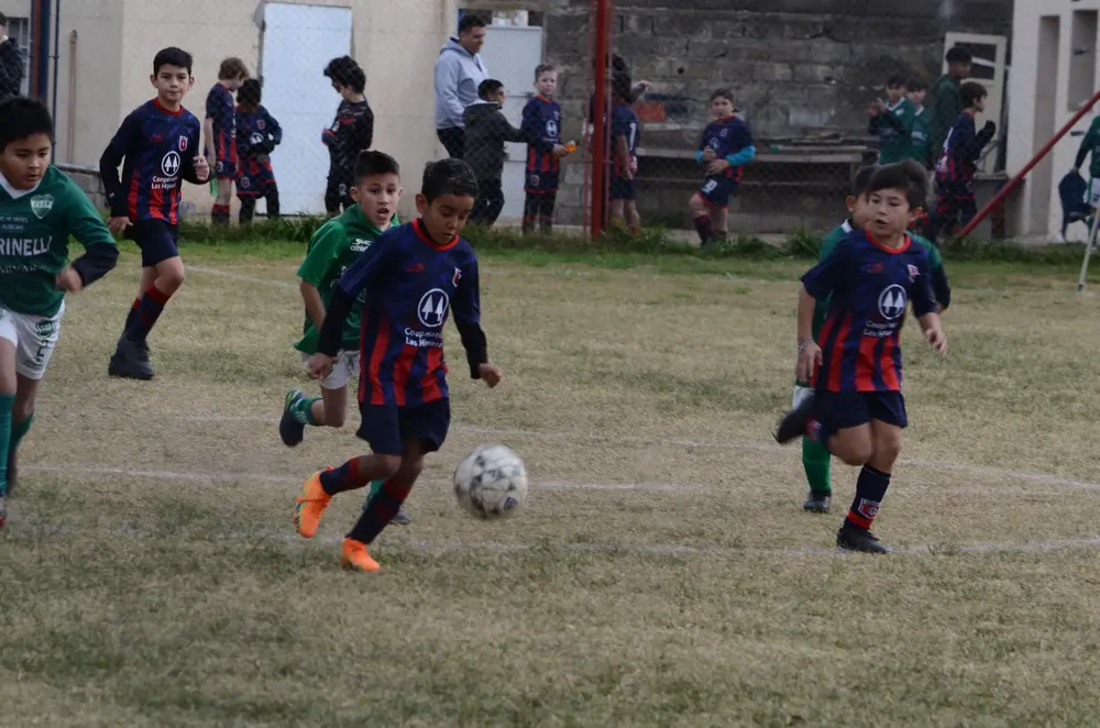 Centro Social Infanto Everton Banda Norte Socialeritas (27)