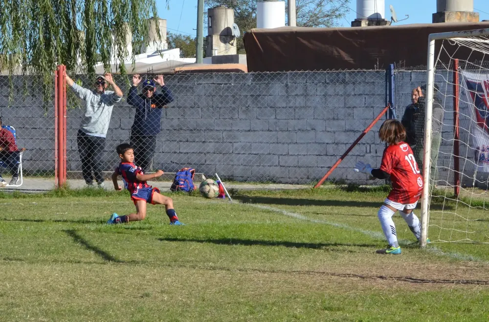 IMG-20250531-WA0135