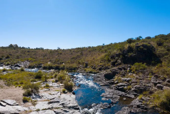 Captura de pantalla 2024-08-24 181307