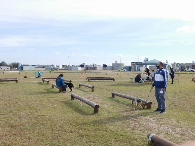 VACUNAS (5)